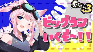 ビッグラン ✦ ひたすらイクラを集める簡単なお仕事です【スプラトゥーン ✦ つくも】