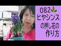 【押し花の作り方】ヒヤシンスの押し花の作り方