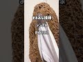 【かぎ針編み】裾から裾まで一気に編む😊シンプル模様編みの重ね着で映えるベスト👍#crochet#編みもの #100均毛糸