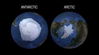 What Does Record-High Antarctic Sea Ice Say About Climate Change? | Video