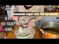 Make homemade yogurt the easy way two simple ingredients and hands off