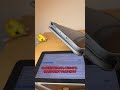 【進化】iPadは初代からどれくらい進化したの!?パート3【iOS5 vsiOS26】