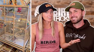 Reviewing Our Subscribers Bird Cage Set Ups | Part 1