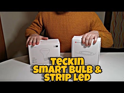 Recensione striscia LED Tapo, economica ma smart 