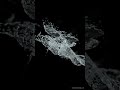 WaterSplash