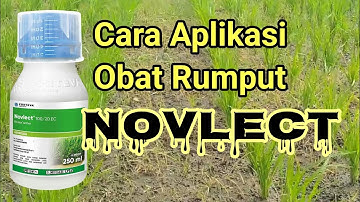 Cara Penggunaan Obat Rumput NOVLECT Pada Tanaman Padi -: Aplikasi Herbisida Novlect
