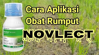 Cara Penggunaan Obat Rumput NOVLECT Pada Tanaman Padi -: Aplikasi Herbisida Novlect