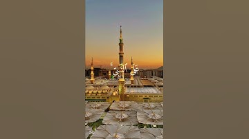 سورة الأحزاب بصوت القارئ الشيخ هيثم الدخين