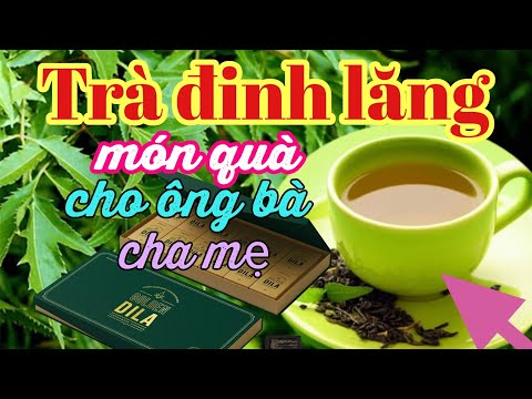 Công dụng của rể và lá đinh lăng, trà đinh lăng Sâm Goldendila (sâm của người Việt)@Sơn Zim
