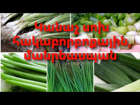 Video: Կանաչ սոխ բոլոր հիվանդությունների համար