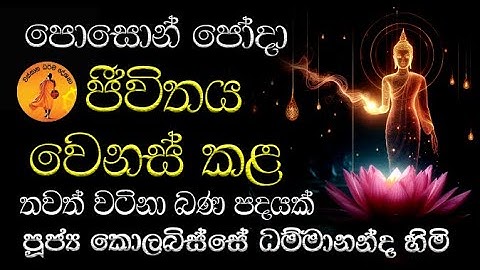 පොසොන් පෝදා ජීවිතය වෙනස් කළ තවත් වටිනා බණ පදයක් | 2024.06.23 KOLABISSE DAMMANANDA THERO DARMADESANA