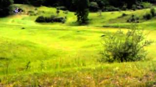 VIDEO0204.mp4
