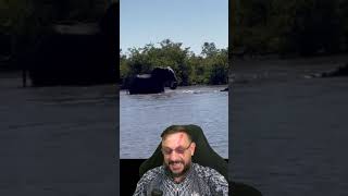 Elefante E Hipoptamo Na gua biologohenrique animais bichoesperto biologo