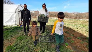 Şehir Hayatından Sıkılıp Yerleştikleri Köyde Tarım Ve Hayvancılık Yapmaya Başladılar