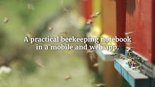 Beentry – A practical beekeeping notebok in a mobile and web app. screenshot 5