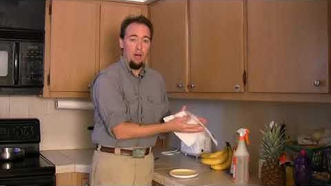 How to Control Insects & Pests on Table Grapes