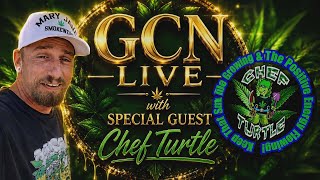 From Chef to Cannabis Expert | Chef Turtle Joins GCN Live