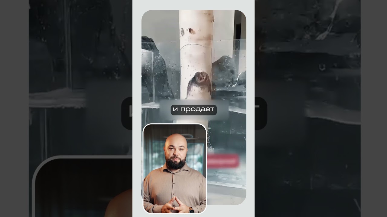 Необычные ветки удивили декораторов!