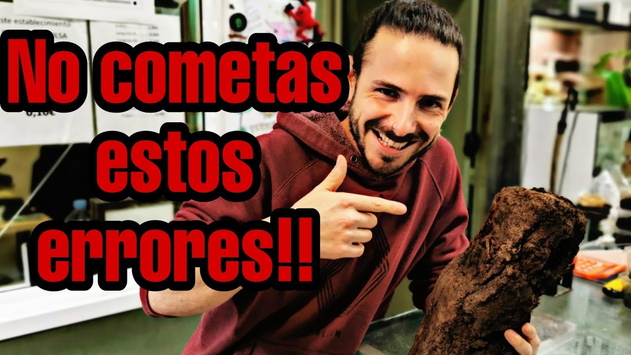 DESMINTIENDO MITOS!!! tipos de SUBSTRATOS. como utilizarlos correctamente. 😜👌👌