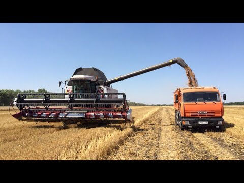 Summer Harvest Results! Set a Record for Rapeseed! Winter Wheat and Winter Rapeseed Yields!