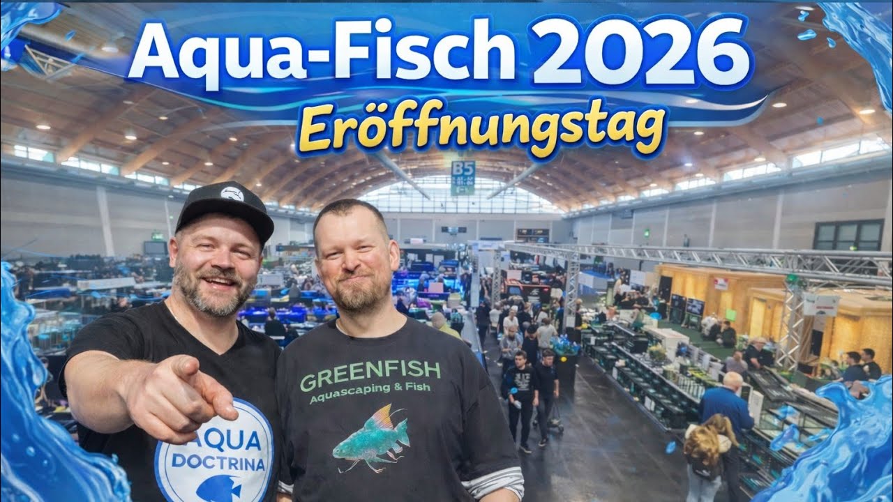 Aqua-Fisch 2026 Eröffnungstag großer Rundgang 