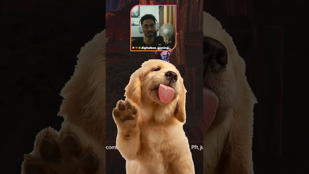 Come to WuWa, we have waifus and pets