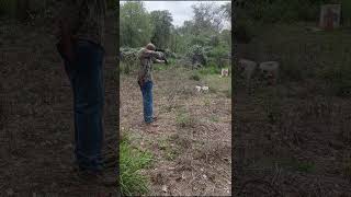 running lighter ammo with my #Ronin1911 and #shockwave 12 gauge