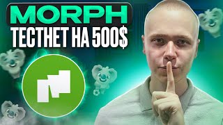 Morph | Тестнет с гарантированными наградами | airdrop