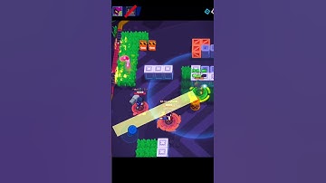 Never Mess With Lily