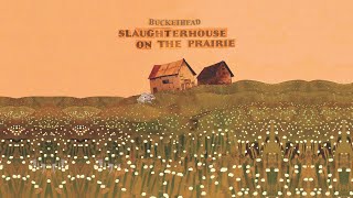 Buckethead - Collecting Specimens