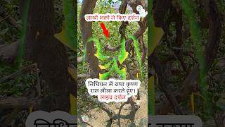 रध कषण रसलल दरशन Live