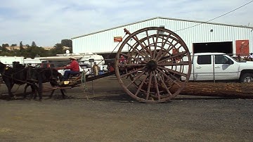 Logging Arch in Pendleton