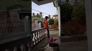 Man Slides on Balustrade, Unexpectedly Falls Backward