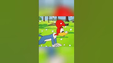 Do you know how bears hibernate? #cartoon