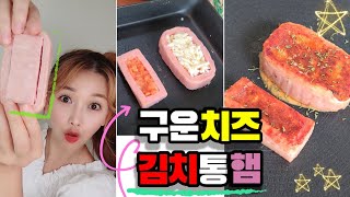 구운치즈 김치통햄