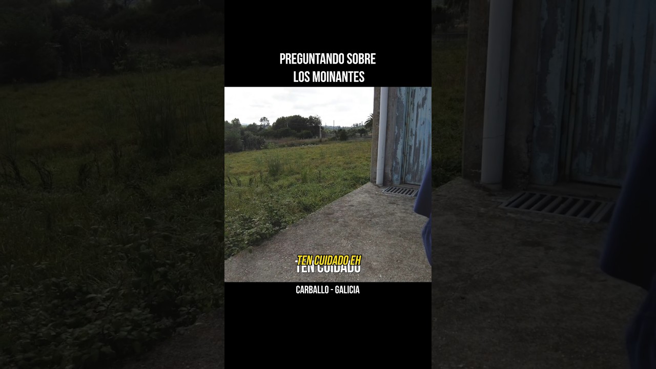 “ Ten cuidado” me advierten | Conociendo a los moinantes #moinantes #mercheros #carballo #galicia