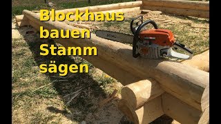 Blockhaus bauen - Stamm aussuchen, anzeichnen, aussägen