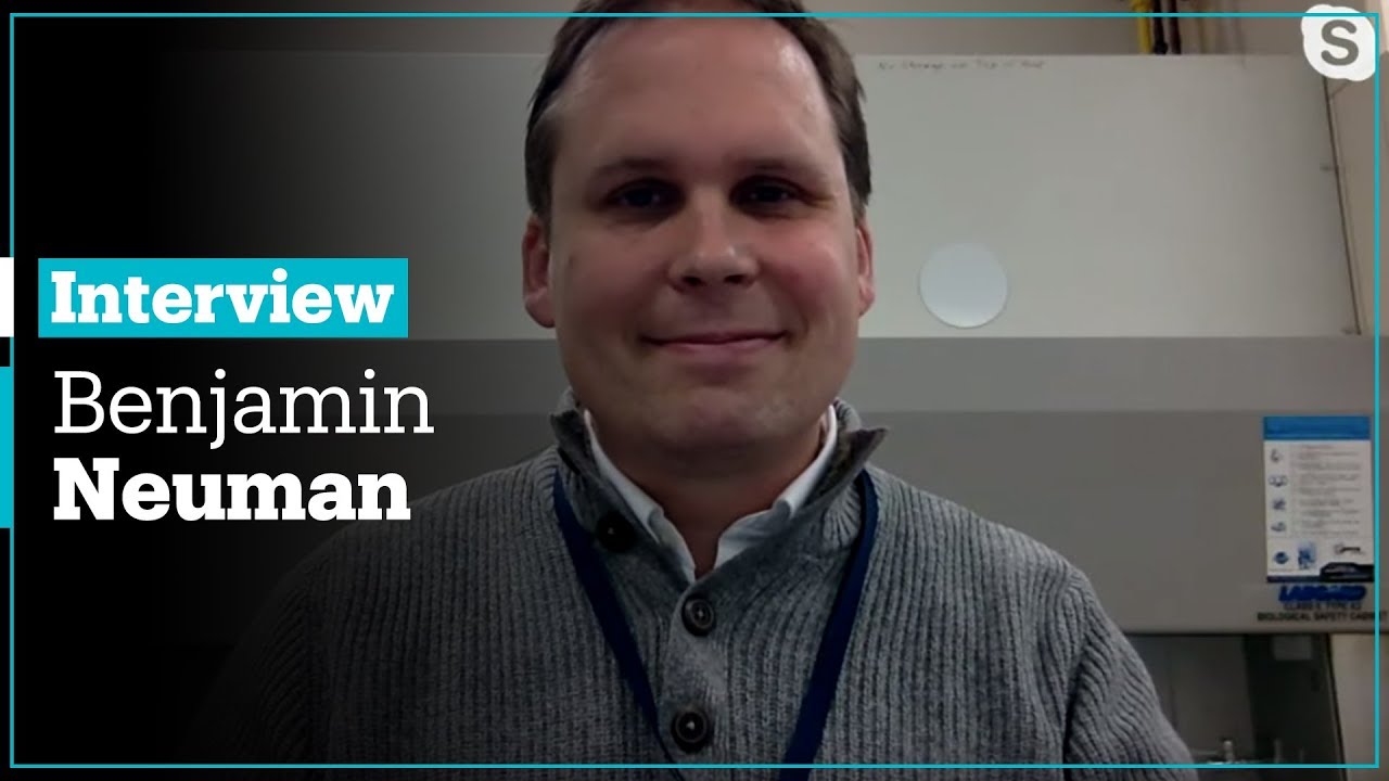 Coronavirus Outbreak: Benjamin Neuman, Professor, Texas A&M University ...