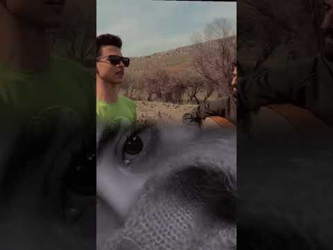 عيونا عيون الغزالة اكسبلور اكسبلورهاشتاقات ترند سوريا تصميمي اشتراك بالقناة