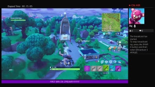 Fortnut gun game