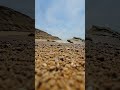 Walking on a Secret Shore…