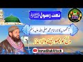 آنکھوں کا تارا نام محمد دل کا اجالا نام محمد قاری محمد ضمیر عطاری صاحب