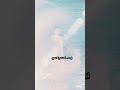 شيرين عبدالوهاب اه يا ليل