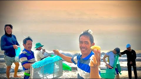 Nghề cào ốc ruốc tại quảng nam như chơi đùa với sóng giữ | ốc ruốc có giá 20 nghìn một lon sống .
