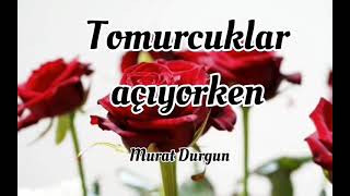 Tomurcuklar açıyorken / müziksiz süper ilahi / Murat durgun / Mustafa Demirci tomurcuklar açıyorken