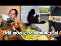ජපානයේ වැඩ කරන දවසක් | Week Day Night Routine| Srilankan Special Curry