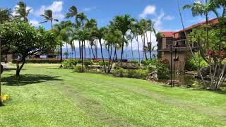 Papakea J106 Walkthrough
