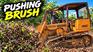 Bulldozer Pushing Brush on Homestead