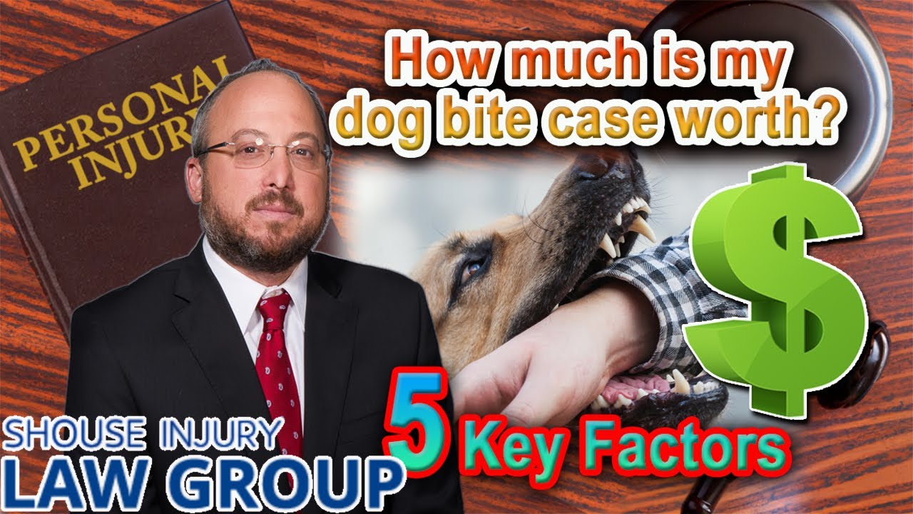 how-much-is-my-dog-bite-lawsuit-worth-5-key-factors-youtube