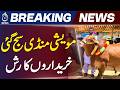 Eid ul Adha Animals Cost High | Inflation Impact | Cattle Markets | Livestock Prices Rise - Aaj News